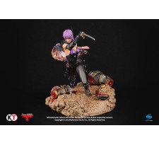 Ninja Gaiden 3 Statue 1/6 Ayane 33 cm